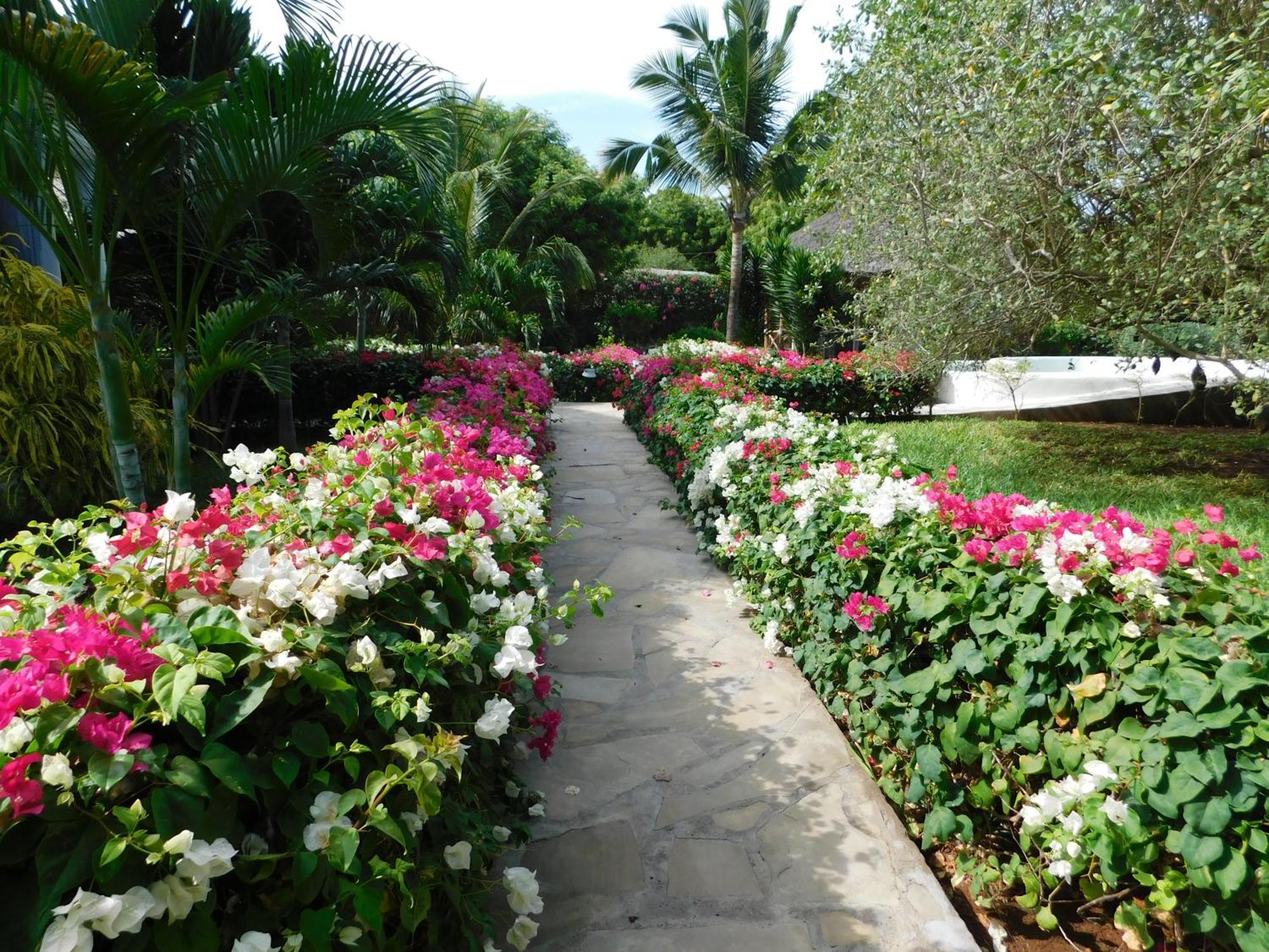 Dama Villa Watamu Buitenkant foto